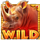 wild wild rage wild symbol icon