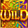 wild wild riches wild symbol icon