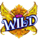 wildpixieswildsymbol icon