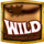 willy wonka dream factory wild 2 symbol icon