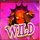wish upon a jackpot megaways wild symbol icon
