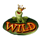 wish upon a jackpot wild symbol icon