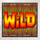 witch doctor goes wild wild symbol icon