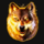 wolf night wild symbol icon