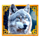 wolfs transformation wild symbol icon