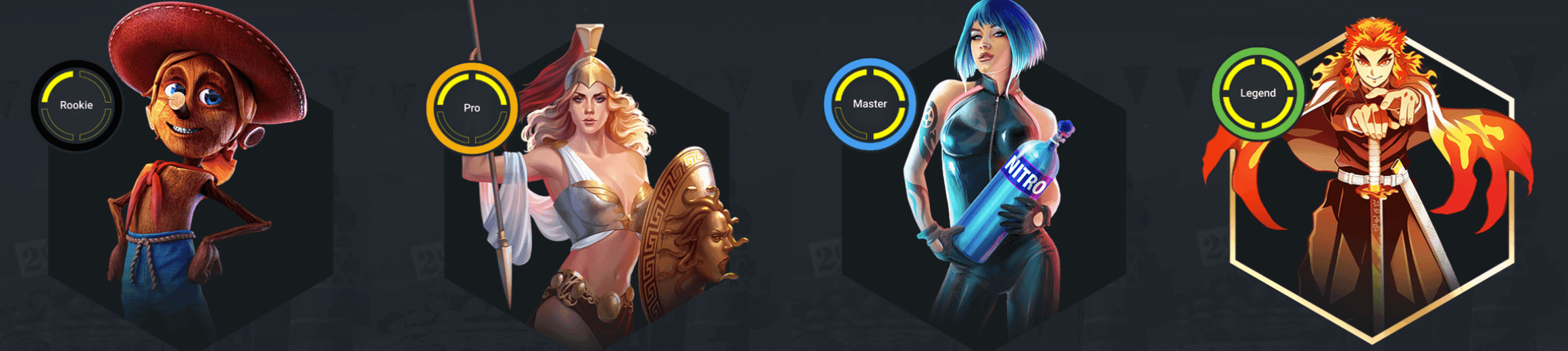 spin dimension vip program