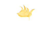 head