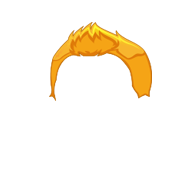 head