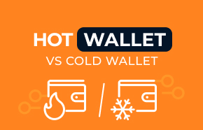 Hot Wallet Vs Cold Wallet: Which One Should You Use for Crypto Gambling?