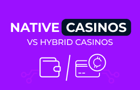 Native Crypto Casinos vs Hybrid Casinos: Which Should You Play?