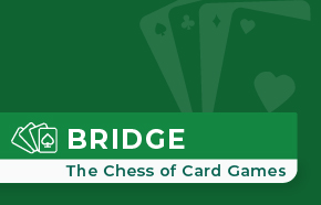 A Beginner's Guide to Playing Bridge