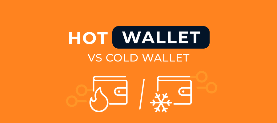 Hot Wallet Vs Cold Wallet: Which One Should You Use for Crypto Gambling?