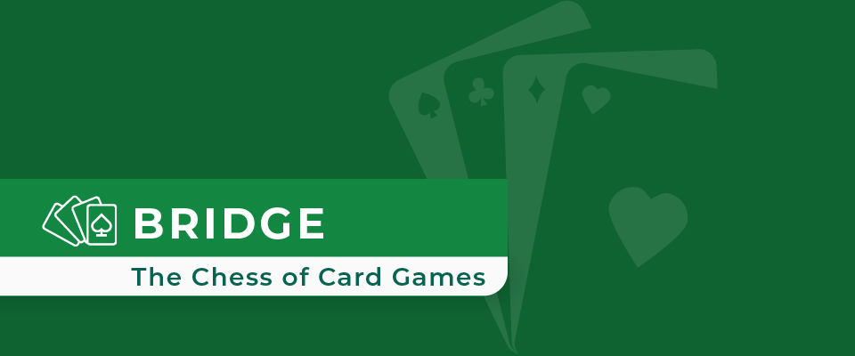 How to Play Bridge: A Step-by-Step Guide for Beginners
