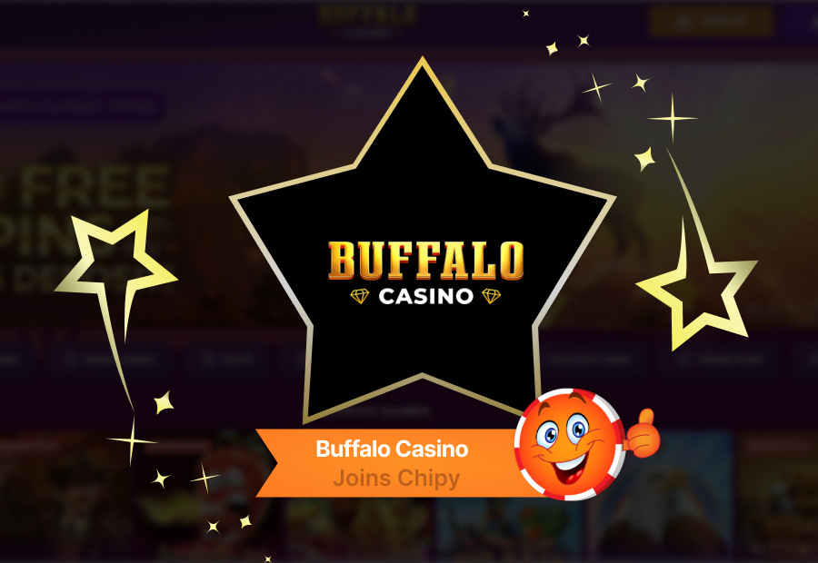 Buffalo Casino Join Chipy: Built Around Bonuses and Free Spins image