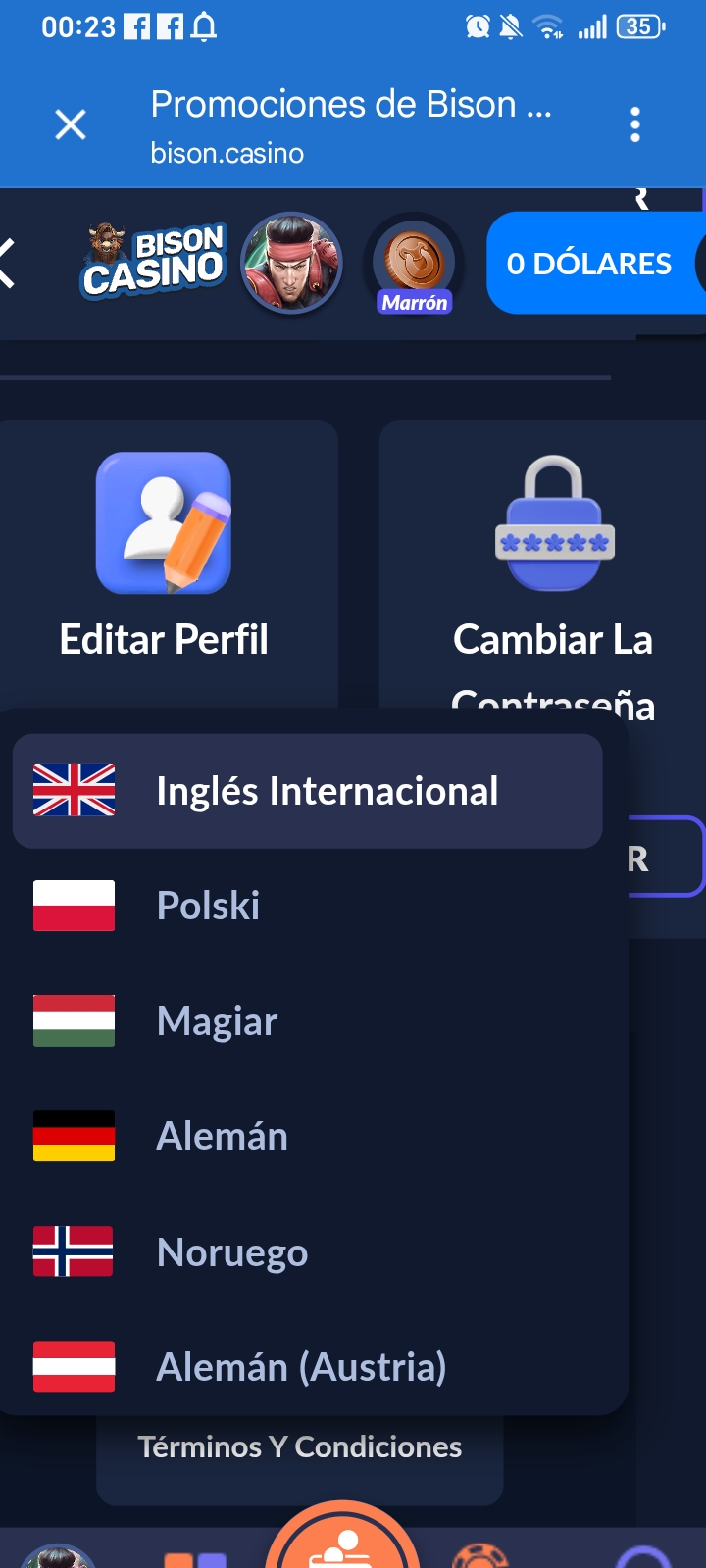 https://bisoncasino.eu/