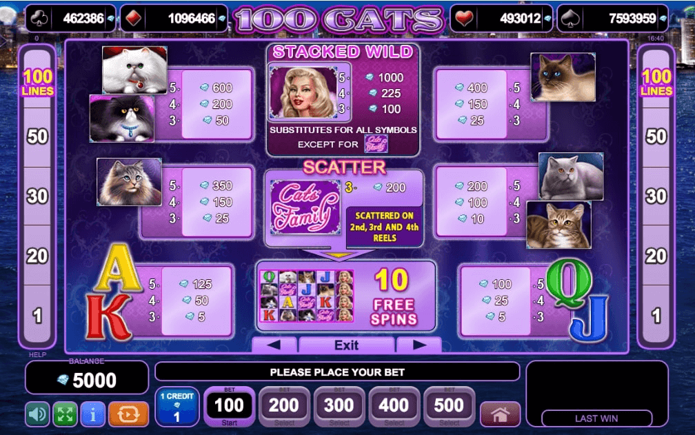 100 cats amusnet interactive slot game paytable explained