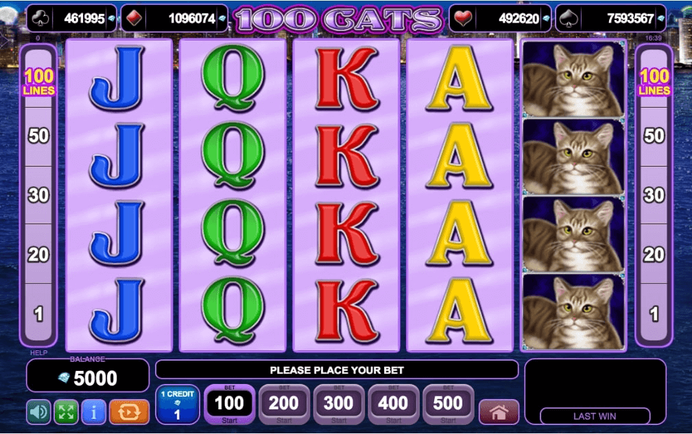 100 cats amusnet interactive slot game reels 