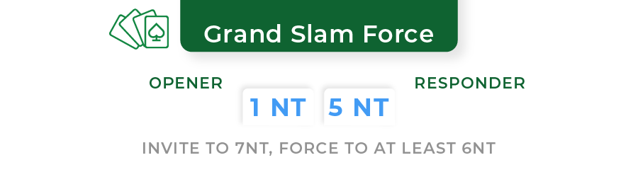 grand slam force
