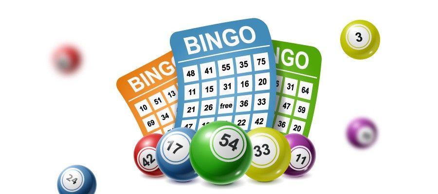 bingo at home app winning numbers