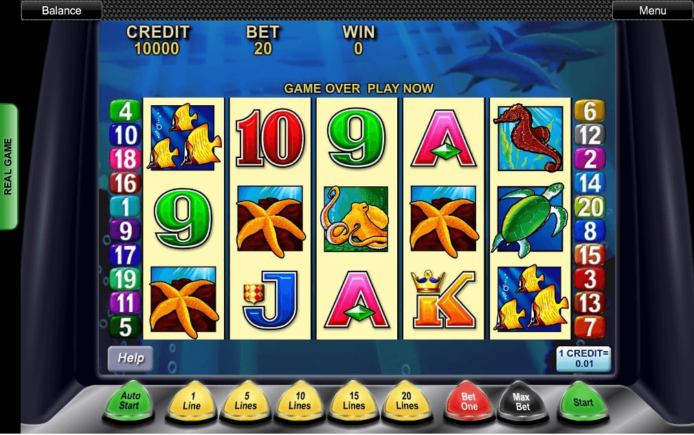 dolphin treasure slots real money