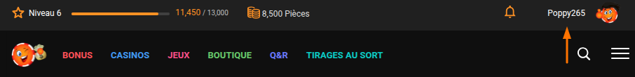 Aide Connexion au compte Nom d'utilisateur du site Avatar