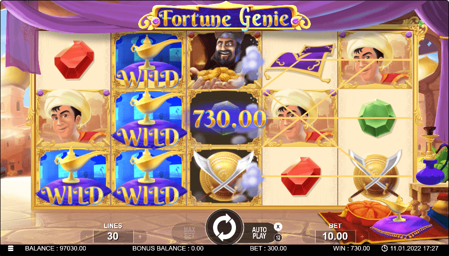 Fortune Genie Online Slots Game Win