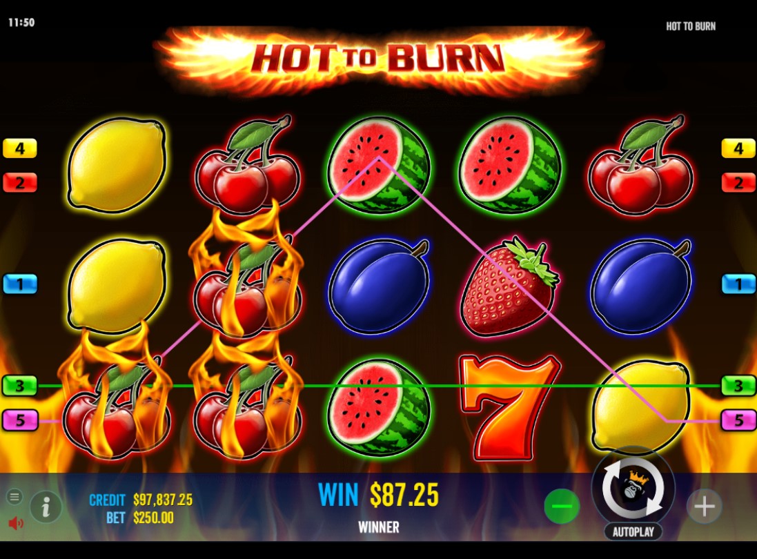 Hot to Burn Online Slot Winning Combination