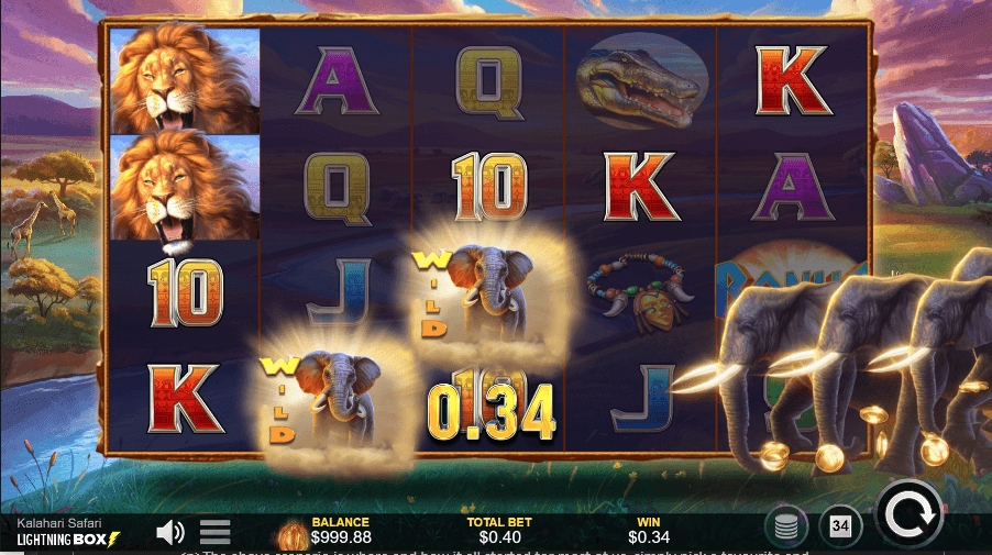 Kalahari Safari Slot Winning Combo
