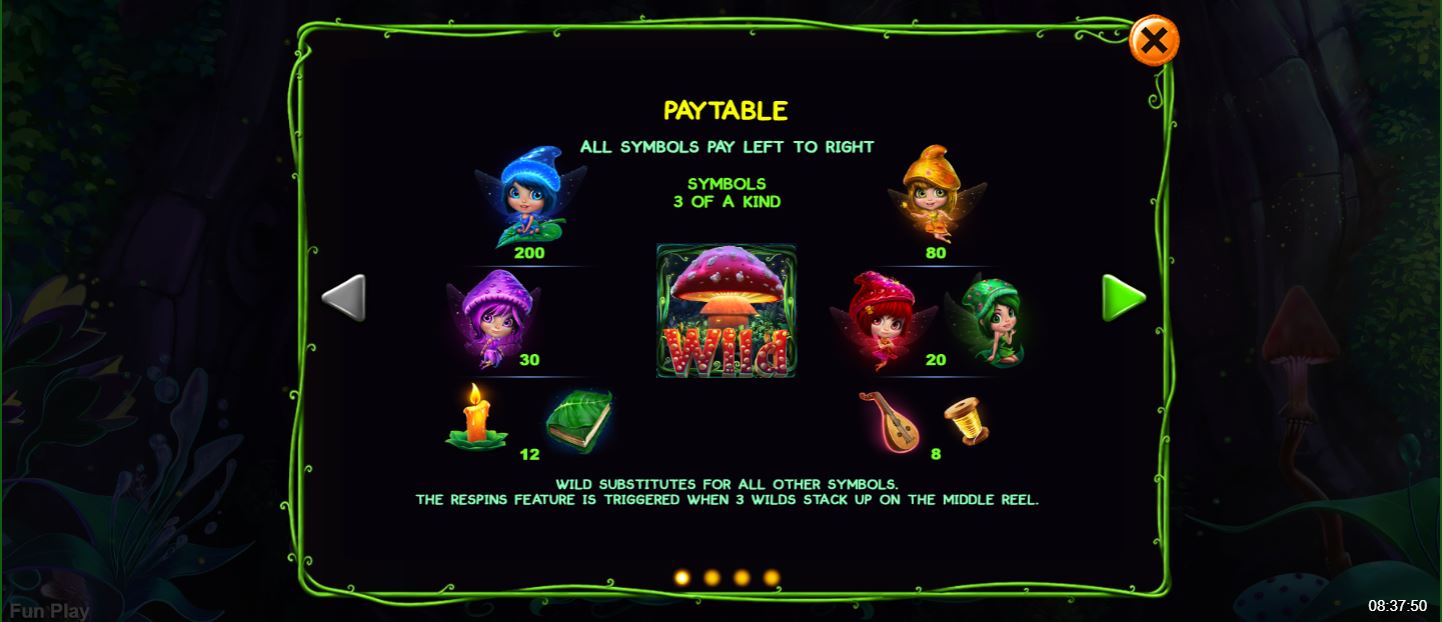 Magic Mushroom Slot Game Paytable