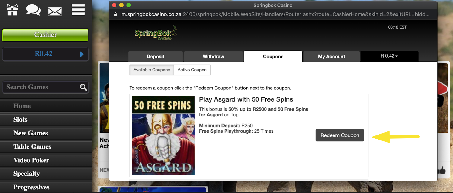 newest springbok casino no deposit codes