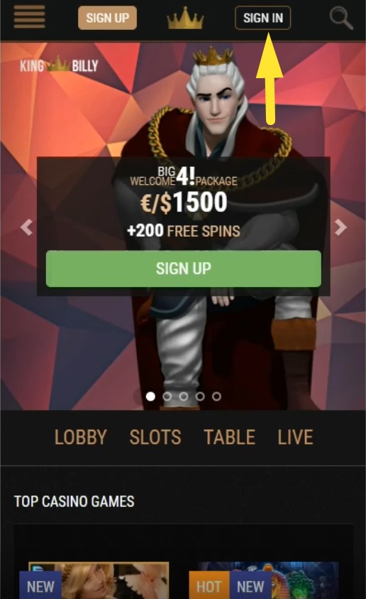 Log In Online Casino
