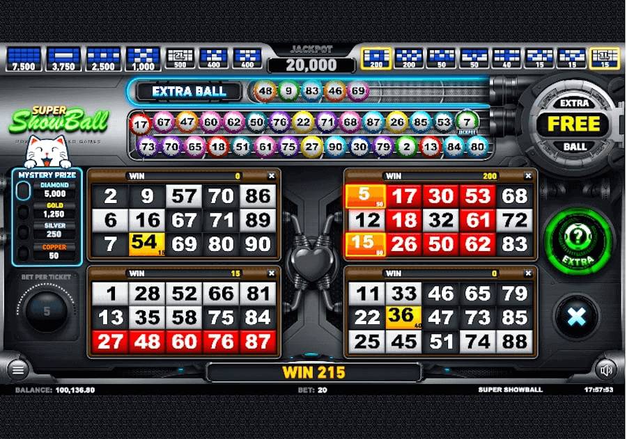 Super Showball Bingo Game game detail