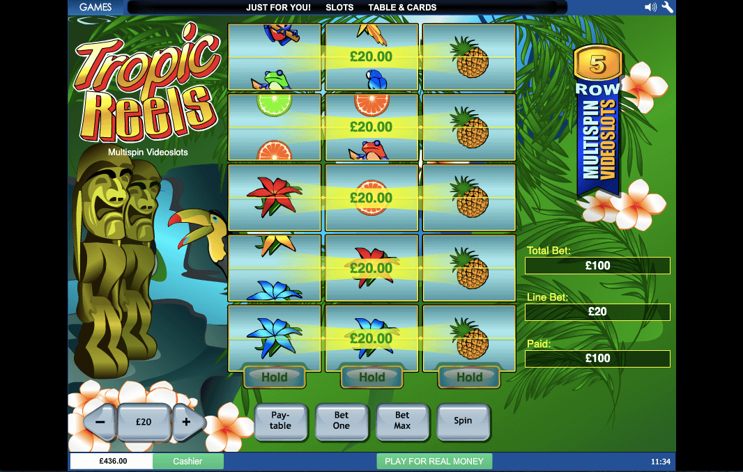 PLAYTECH TROPIC REELS ONLINE SLOT WINNING LINES