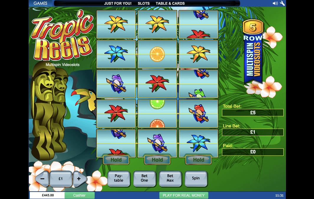 PLAYTECH TROPIC REELS ONLINE SLOT REELS