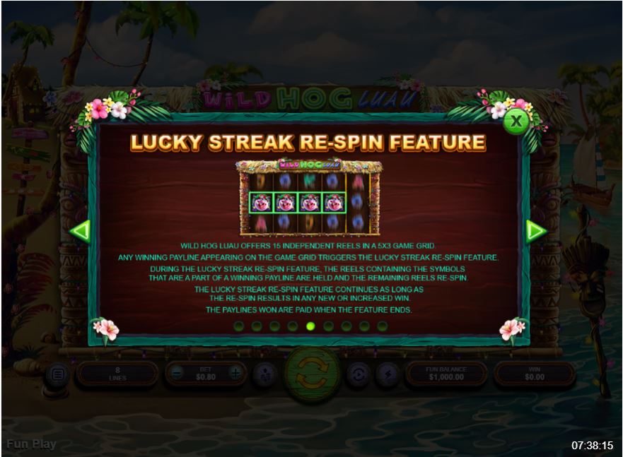 Wild Hog Luau Online Slot Machine Special Feature