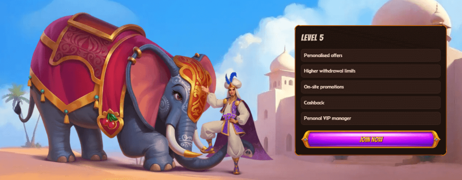 abu king casino vip level 5