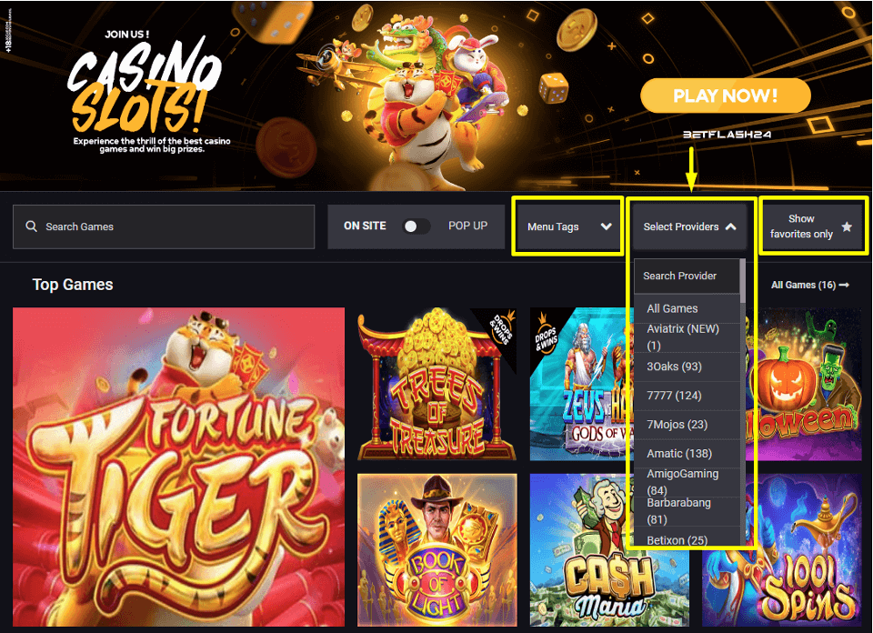 betflash24 casino game library