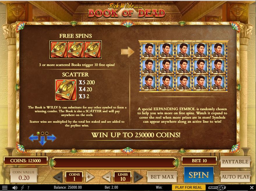 Book Of Dead Slot Game Free Spins