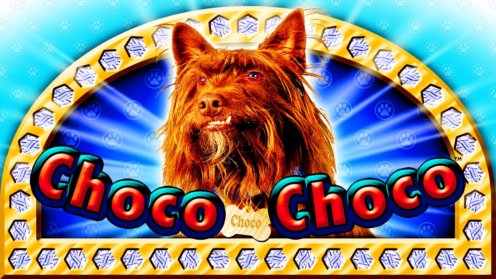 Crazy Tooth Studio Choco Choco Slot Game