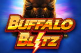 DE Logo Buffalo Blitz