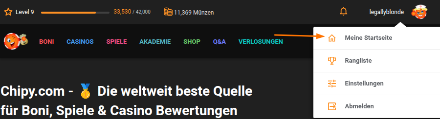 Dropdown meiner Homepage