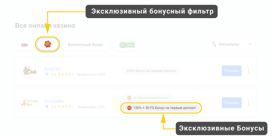 Domashniaia stranitsa_Ekskliuzivnyi_bonus_filtr