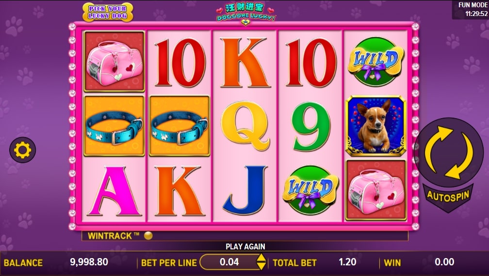 doggone lucky slot game