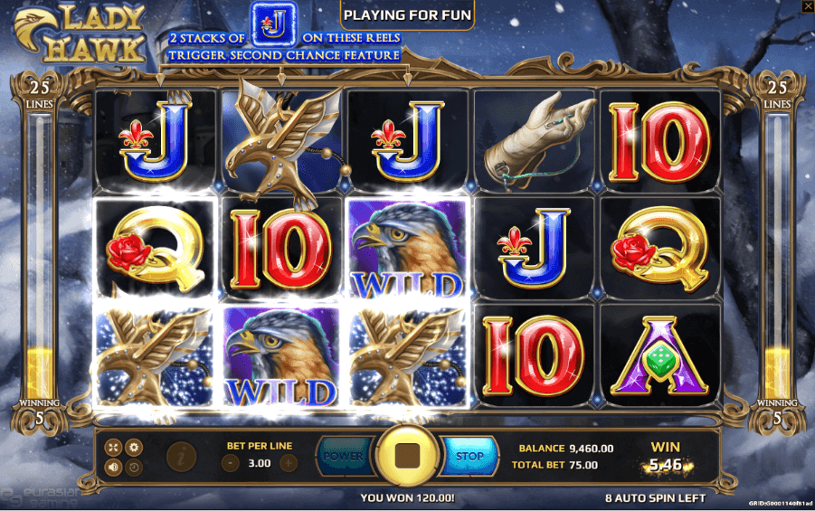 Lady Hawk Online Slot Game Win