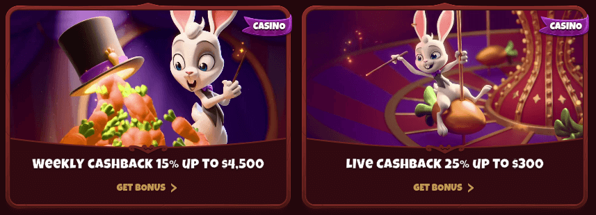 magius casino cashback