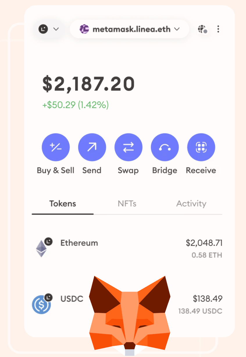 metamask wallet overview