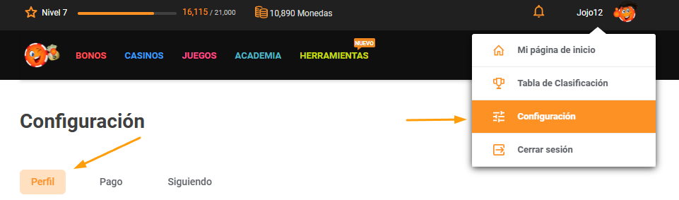 seccion de perfil de configuracion