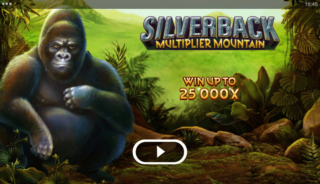 Silverback Multiplier Mountain Online Slot Game Reels