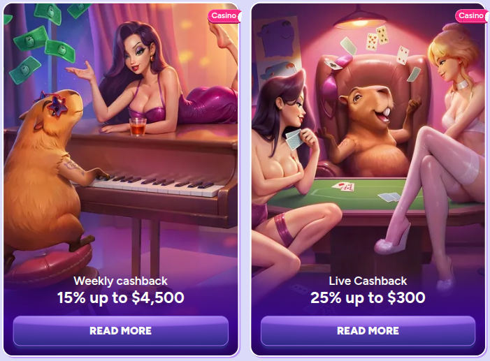 spinbara casino cashback