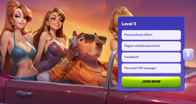 spinbara casino vip level 5